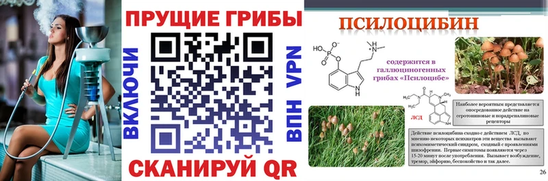 как найти Николаевск-на-Амуре Галлюциногенные грибы Cubensis